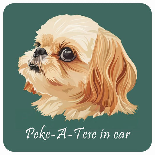 イラスト付 Dog in Car マルペキ Bタイプ ステッカー 正方形 13x13cm シール カーステッカー