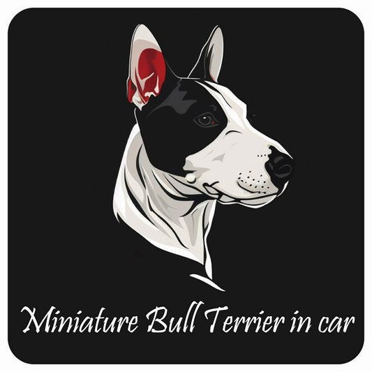 イラスト付 Dog in Car ミニチュアブルテリア Bタイプ ステッカー 正方形 13x13cm シール カーステッカー