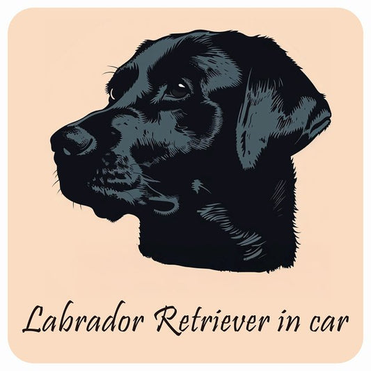 イラスト付 Dog in Car ラブラドールレトリバー Aタイプ ステッカー 正方形 13x13cm シール カーステッカー