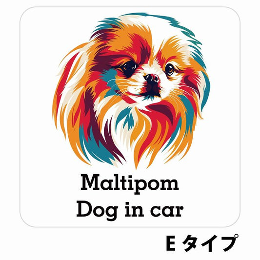 Dog in car Maltipom ポメマル Eタイプ ステッカー 正方形 シール カーステッカー