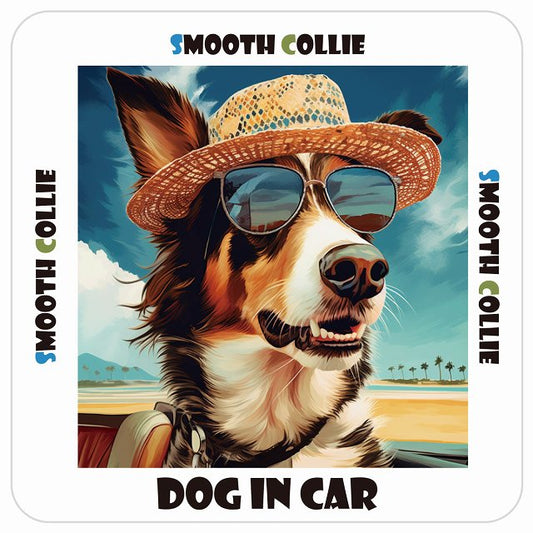 スムースコリー Smooth Collie DOG IN CAR 海 麦わら帽子 サングラス 夏 ステッカー 13x13cm 正方形 シール カーステッカー