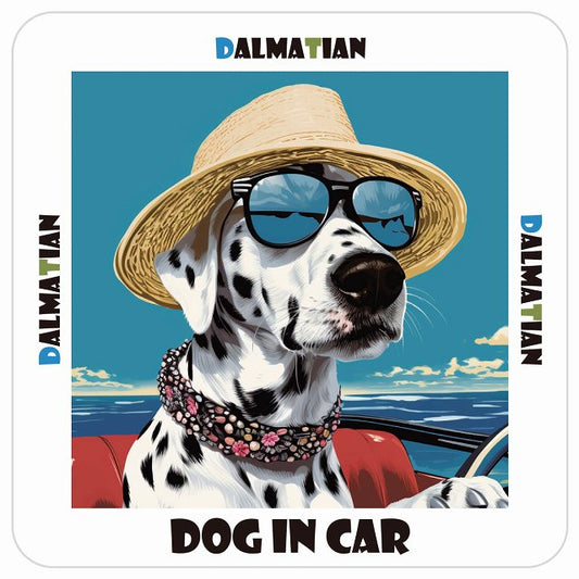 ダルメシアン Dalmatian DOG IN CAR 海 麦わら帽子 サングラス 夏 ステッカー 13x13cm 正方形 シール カーステッカー