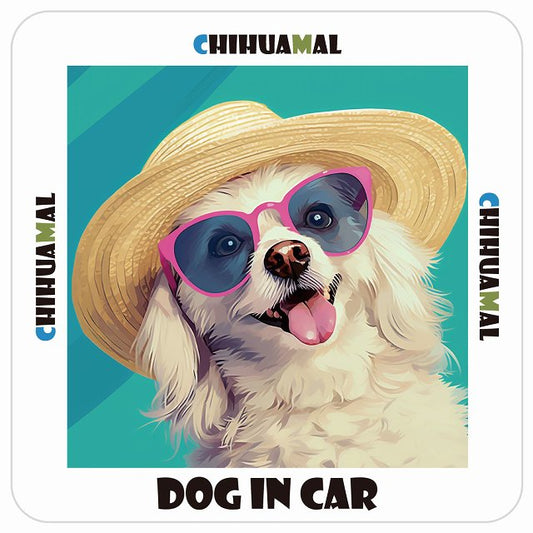チワマル Chihuamal DOG IN CAR 海 麦わら帽子 サングラス 夏 ステッカー 13x13cm 正方形 シール カーステッカー