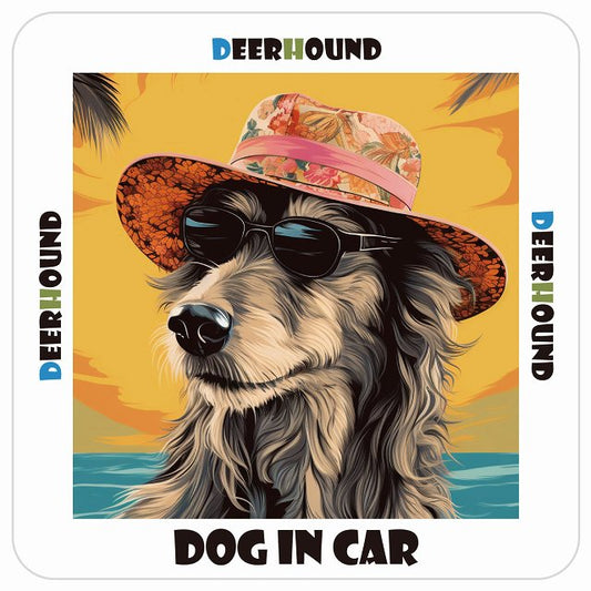 ディアハウンド Deerhound DOG IN CAR 海 麦わら帽子 サングラス 夏 ステッカー 13x13cm 正方形 シール カーステッカー