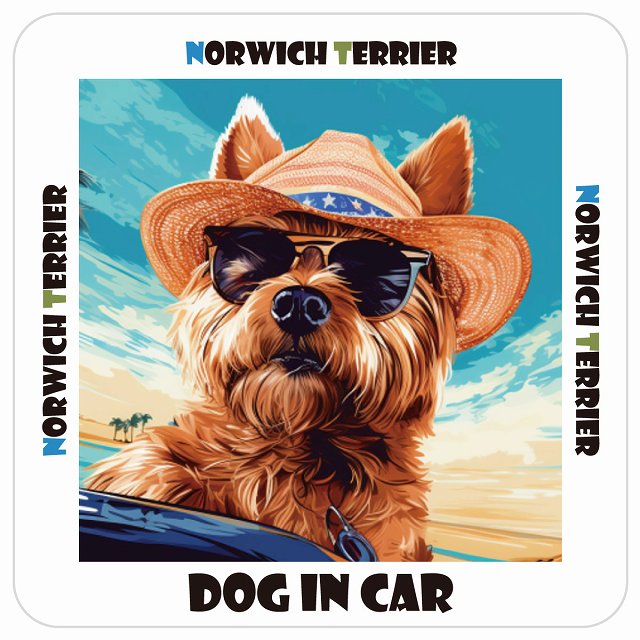 ノーリッチテリア Norwich Terrier DOG IN CAR 海 麦わら帽子 サングラス 夏 ステッカー 13x13cm 正方形 シール カーステッカー