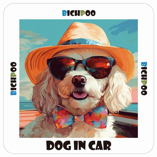 ビションプー Bichpoo DOG IN CAR 海 麦わら帽子 サングラス 夏 ステッカー 13x13cm 正方形 シール カーステッカー