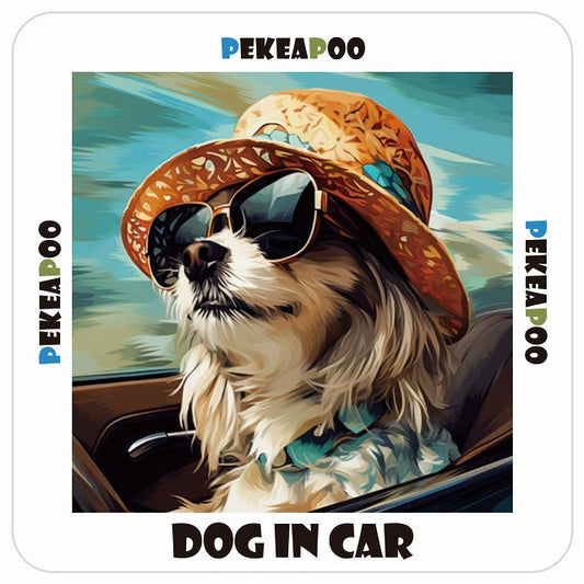 ペキプー Pekeapoo DOG IN CAR 海 麦わら帽子 サングラス 夏 ステッカー 13x13cm 正方形 シール カーステッカー