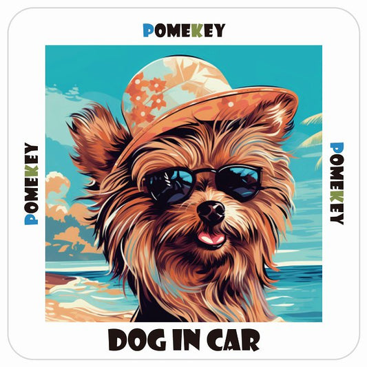 ポメキー Pomekey DOG IN CAR 海 麦わら帽子 サングラス 夏 ステッカー 13x13cm 正方形 シール カーステッカー