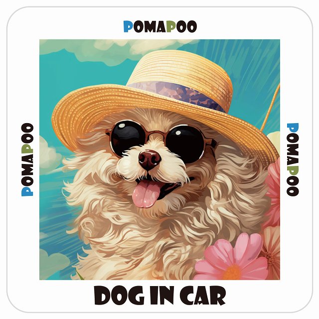 ポメプー Pomapoo DOG IN CAR 海 麦わら帽子 サングラス 夏 ステッカー 13x13cm 正方形 シール カーステッカー