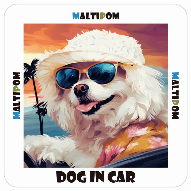 ポメマル Maltipom DOG IN CAR 海 麦わら帽子 サングラス 夏 ステッカー 13x13cm 正方形 シール カーステッカー