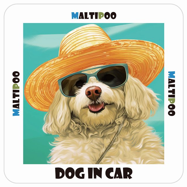 マルプー Maltipoo DOG IN CAR 海 麦わら帽子 サングラス 夏 ステッカー 13x13cm 正方形 シール カーステッカー