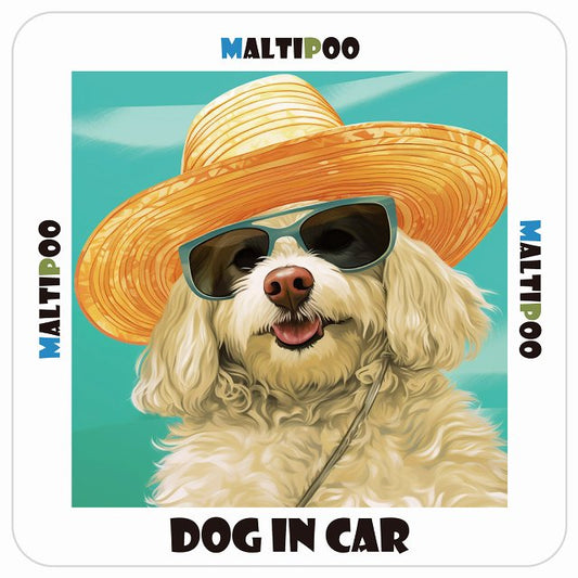 マルプー Maltipoo DOG IN CAR 海 麦わら帽子 サングラス 夏 ステッカー 13x13cm 正方形 シール カーステッカー