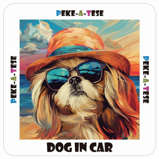マルペキ Peke-A-Tese DOG IN CAR 海 麦わら帽子 サングラス 夏 ステッカー 13x13cm 正方形 シール カーステッカー