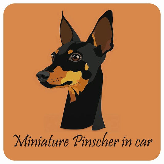 イラスト付 Dog in Car ミニチュアピンシャー Aタイプ ステッカー 正方形 13x13cm シール カーステッカー