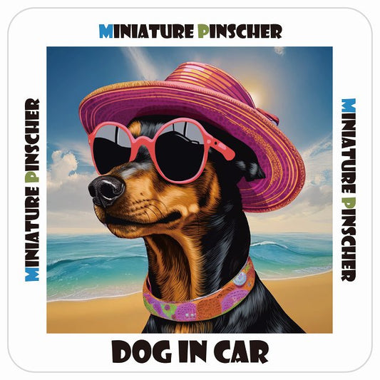 Miniature Pinscher ミニチュアピンシャー DOG IN CAR 海 麦わら帽子 サングラス 夏 ステッカー 13x13cm 正方形 シール カーステッカー