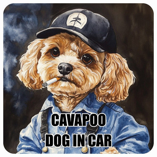 CAVAPOO キャバプー DOG IN CAR 作業服 ちょい悪 ステッカー 13x13cm 正方形 シール カーステッカー