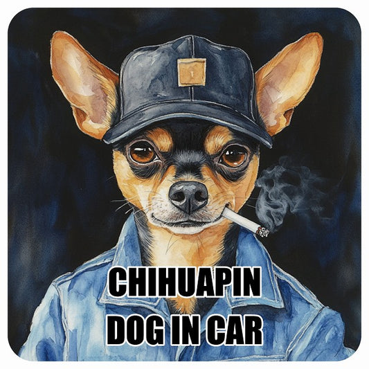 CHIHUAPIN チワピン DOG IN CAR 作業服 ちょい悪 ステッカー 13x13cm 正方形 シール カーステッカー