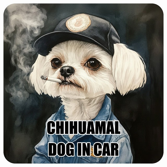 CHIHUAMAL チワマル DOG IN CAR 作業服 ちょい悪 ステッカー 13x13cm 正方形 シール カーステッカー