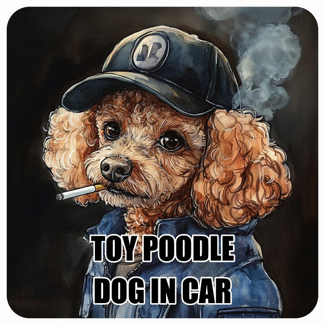 TOY POODLE トイプードル DOG IN CAR 作業服 ちょい悪 ステッカー 13x13cm 正方形 シール カーステッカー