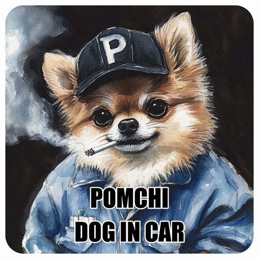 POMCHI ポメチワ DOG IN CAR 作業服 ちょい悪 ステッカー 13x13cm 正方形 シール カーステッカー