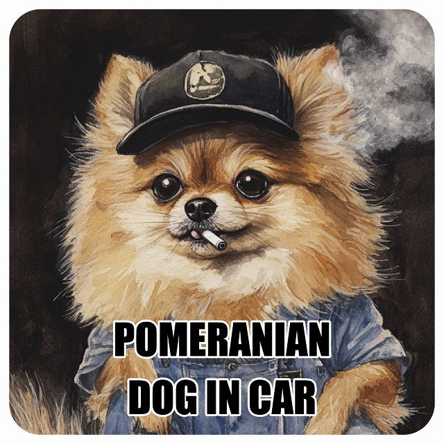 POMERANIAN ポメラニアン DOG IN CAR 作業服 ちょい悪 ステッカー 13x13cm 正方形 シール カーステッカー
