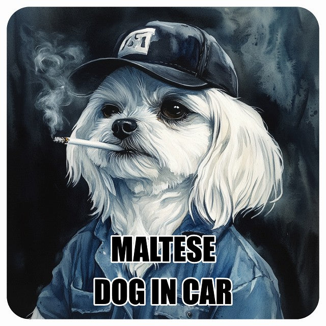 MALTESE マルチーズ DOG IN CAR 作業服 ちょい悪 ステッカー 13x13cm 正方形 シール カーステッカー