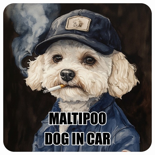 MALTIPOO マルプー DOG IN CAR 作業服 ちょい悪 ステッカー 13x13cm 正方形 シール カーステッカー