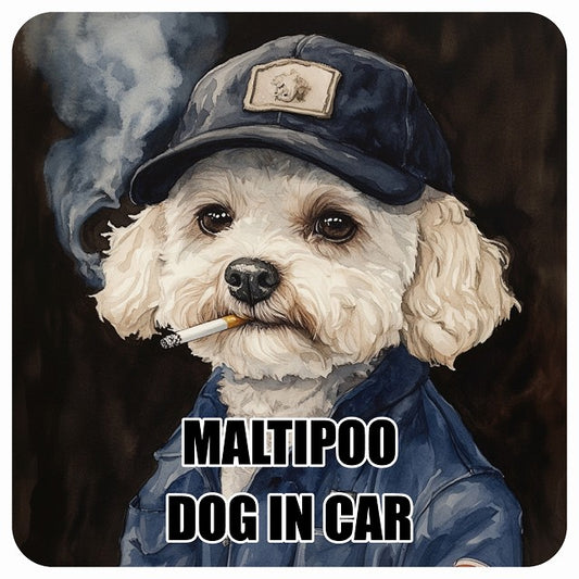 MALTIPOO マルプー DOG IN CAR 作業服 ちょい悪 ステッカー 13x13cm 正方形 シール カーステッカー