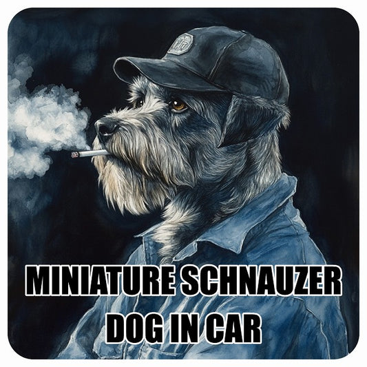 MINIATURE SCHNAUZER ミニチュアシュナウザー DOG IN CAR 作業服 ちょい悪 ステッカー 13x13cm 正方形 シール カーステッカー