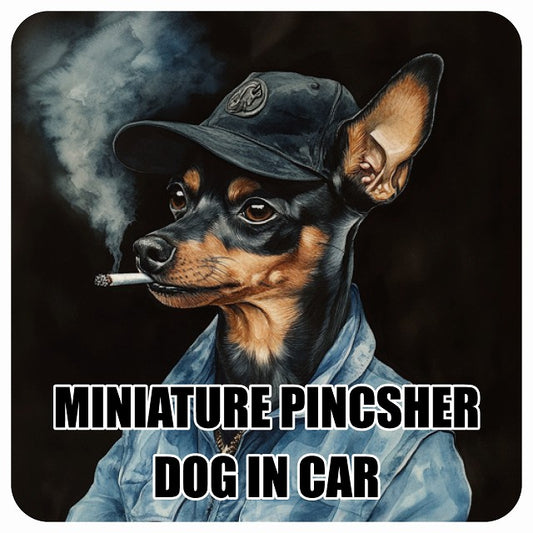 MINIATURE PINSCHER ミニチュアピンシャー DOG IN CAR 作業服 ちょい悪 ステッカー 13x13cm 正方形 シール カーステッカー