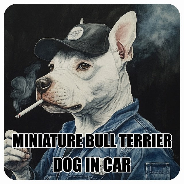 MINIATURE BULL TERRIER ミニチュアブルテリア DOG IN CAR 作業服 ちょい悪 ステッカー 13x13cm 正方形 シール カーステッカー
