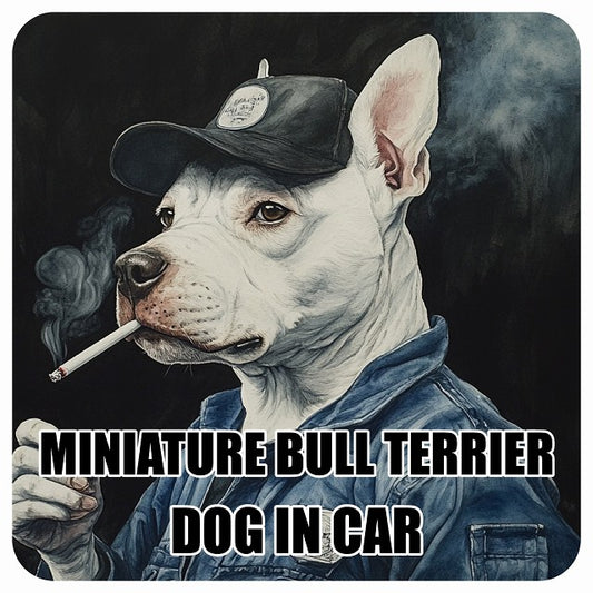MINIATURE BULL TERRIER ミニチュアブルテリア DOG IN CAR 作業服 ちょい悪 ステッカー 13x13cm 正方形 シール カーステッカー