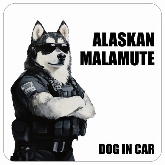 ALASKAN MALAMUTE アラスカンマラミュート DOG IN CAR セキュリティガード風 ちょい悪 ステッカー 13x13cm 正方形 シール カーステッカー