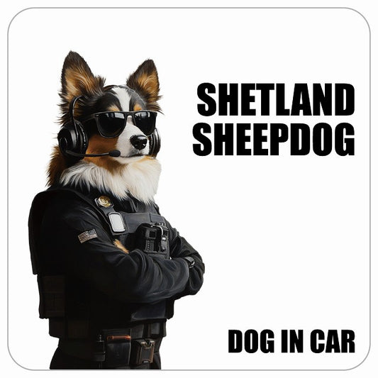 SHETLAND SHEEPDOG シェットランドシープドッグ DOG IN CAR セキュリティガード風 ちょい悪 ステッカー 13x13cm 正方形 シール カーステッカー