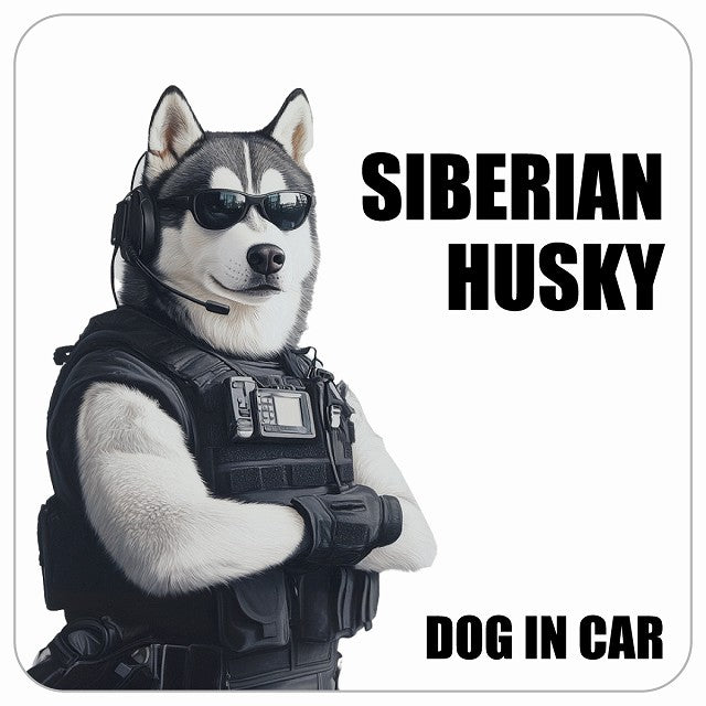SIBERIAN HUSKY シベリアンハスキー DOG IN CAR セキュリティガード風 ちょい悪 ステッカー 13x13cm 正方形 シール カーステッカー