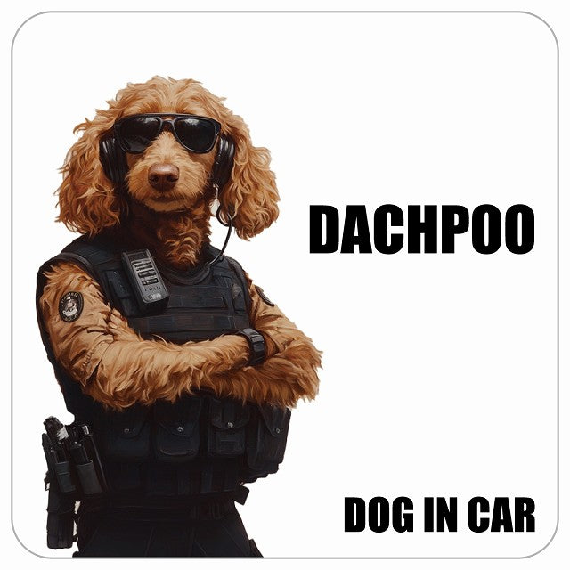 DACHPOO ダップー DOG IN CAR セキュリティガード風 ちょい悪 ステッカー 13x13cm 正方形 シール カーステッカー