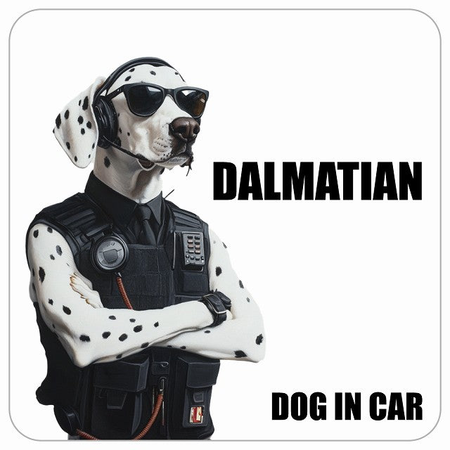 DALMATIAN ダルメシアン DOG IN CAR セキュリティガード風 ちょい悪 ステッカー 13x13cm 正方形 シール カーステッカー