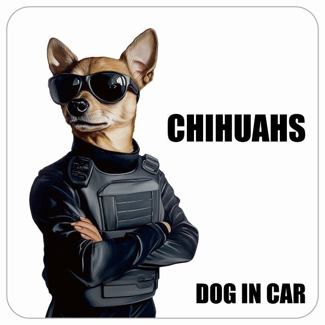 CHIHUAHS チワックス DOG IN CAR セキュリティガード風 ちょい悪 ステッカー 13x13cm 正方形 シール カーステッカー