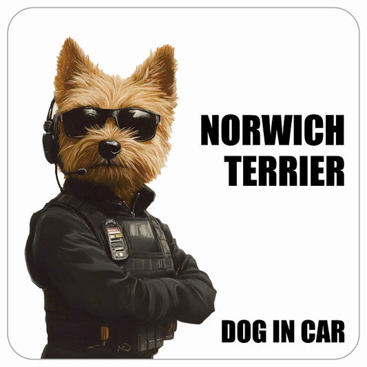 NORWICH TERRIER ノーリッチテリア DOG IN CAR セキュリティガード風 ちょい悪 ステッカー 13x13cm 正方形 シール カーステッカー