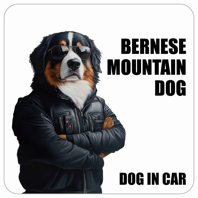 BERNESE MOUNTAIN DOG バーニーズマウンテンドッグ IN CAR セキュリティガード風 ちょい悪 ステッカー 13x13cm 正方形 シール カーステッカー