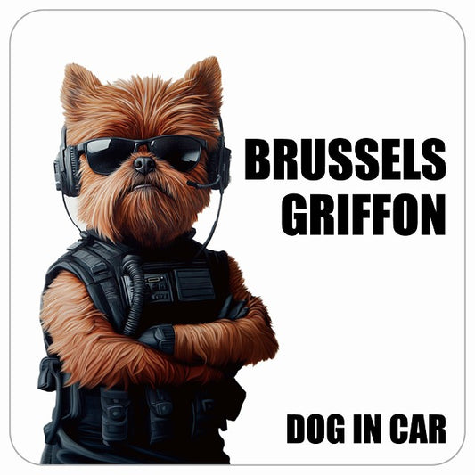 BRUSSELS GRIFFON ブリュッセル・グリフォン DOG IN CAR セキュリティガード風 ちょい悪 ステッカー 13x13cm 正方形 シール カーステッカー
