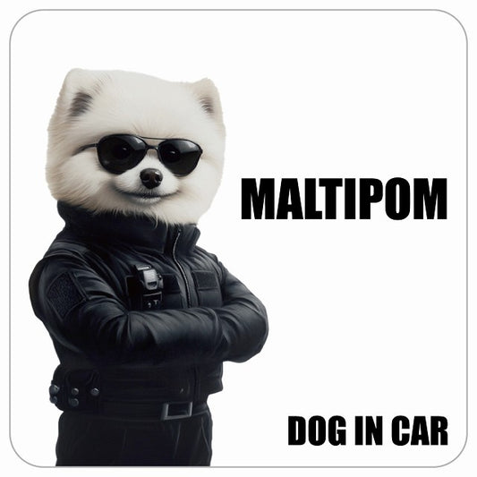 MALTIPOM ポメマル DOG IN CAR セキュリティガード風 ちょい悪 ステッカー 13x13cm 正方形 シール カーステッカー
