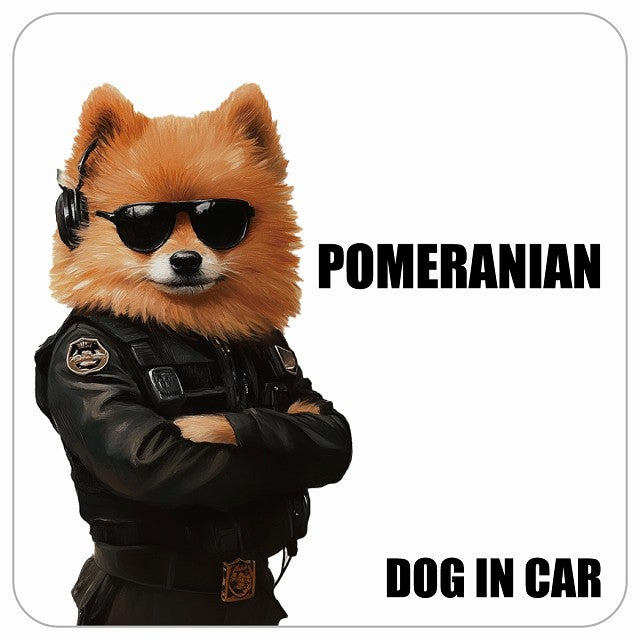 POMERANIAN ポメラニアン DOG IN CAR セキュリティガード風 ちょい悪 ステッカー 13x13cm 正方形 シール カーステッカー