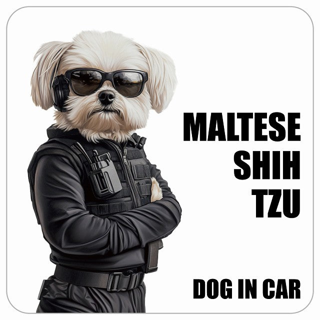 MALTESE SHIH TZU マルシーズー DOG IN CAR セキュリティガード風 ちょい悪 ステッカー 13x13cm 正方形 シール カーステッカー