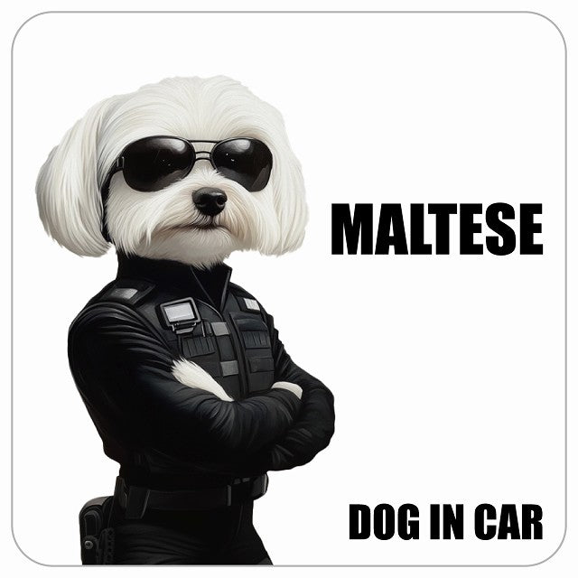 MALTESE マルチーズ DOG IN CAR セキュリティガード風 ちょい悪 ステッカー 13x13cm 正方形 シール カーステッカー