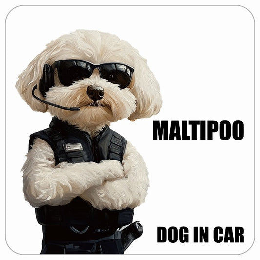 MALTIPOO マルプー DOG IN CAR セキュリティガード風 ちょい悪 ステッカー 13x13cm 正方形 シール カーステッカー