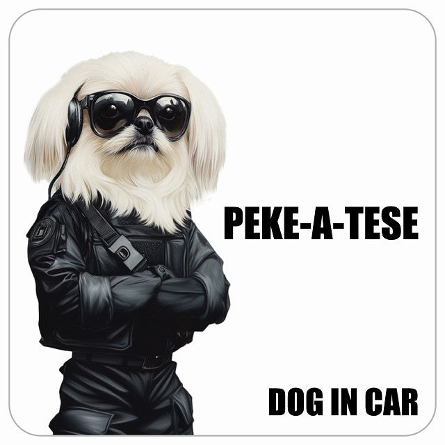 PEKE-A-TESE マルペキ DOG IN CAR セキュリティガード風 ちょい悪 ステッカー 13x13cm 正方形 シール カーステッカー