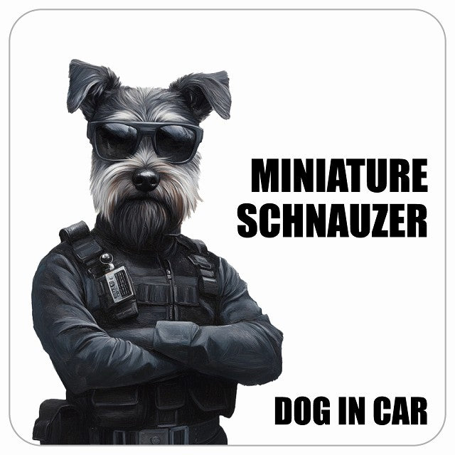 MINIATURE SCHNAUZER ミニチュアシュナウザー DOG IN CAR セキュリティガード風 ちょい悪 ステッカー 13x13cm 正方形 シール カーステッカー