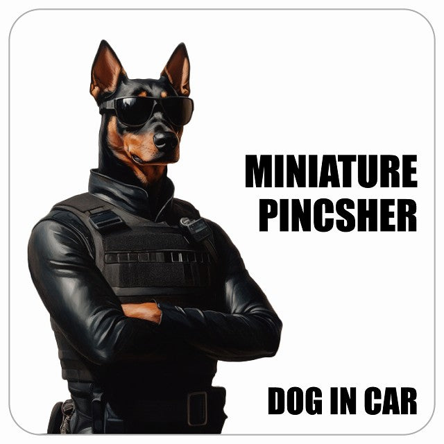 MINIATURE PINSCHER ミニチュアピンシャー DOG IN CAR セキュリティガード風 ちょい悪 ステッカー 13x13cm 正方形 シール カーステッカー