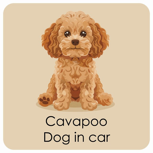 Cavapoo キャバプー DOG IN CAR パステル くすみカラー スタイル アニメ風 ステッカー 13x13cm 正方形 シール カーステッカー